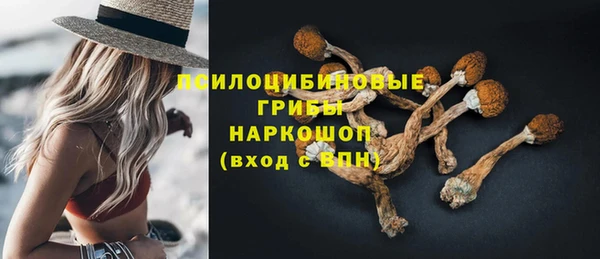 стаф Краснослободск
