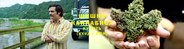 каннабис Корсаков
