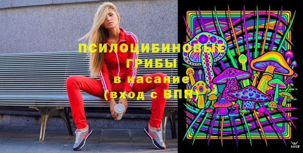 твердый Костерёво